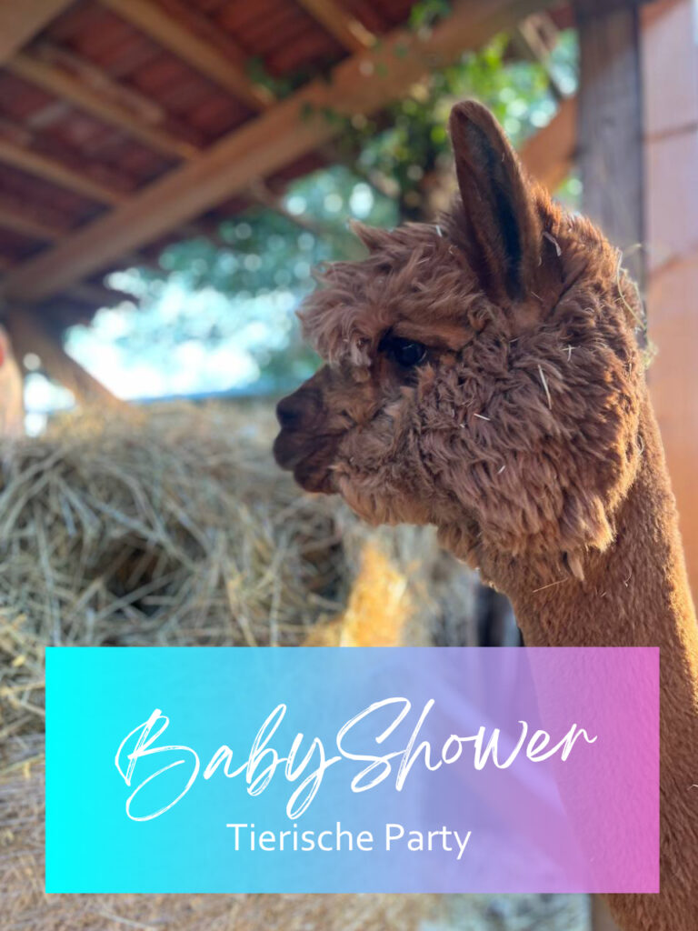 BabaShowerParty mit Tieren